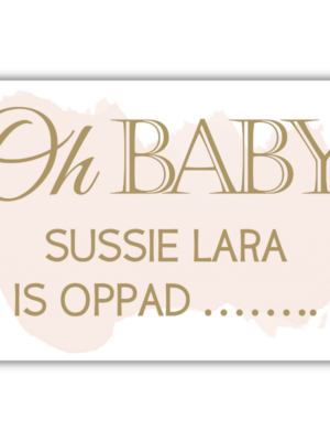 Baby Shower Placemats