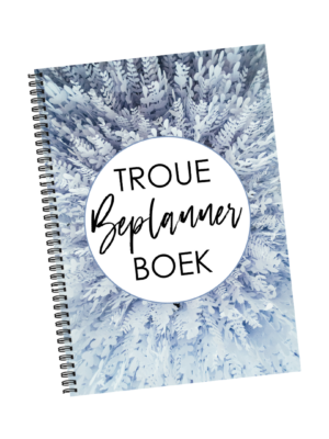 Winter Lief Wedding Planner