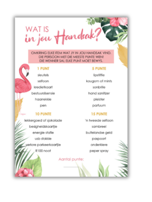 Danette Kombuistee Speletjie - Wat is in jou Handsak