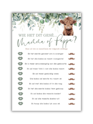 Laro-zanne Babatee Speletjie - Wie het dit gesê Mamma of Pappa