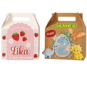 Custom Party Treat Boxes